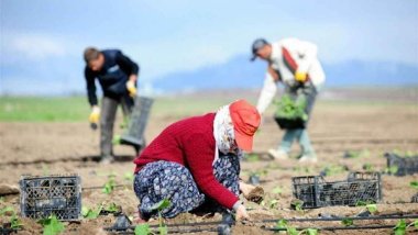 Rêveberiya Xweser hişyarî da cotkaran