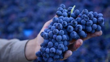 3 berhemên din ên çandiniyê yên Kurdistanê dê îsal bên hinardekirin