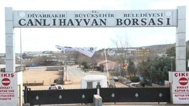 Ji ber belavbûna nexweşiya tebekê liv û tevgera ajeldariyê hat rawestandin