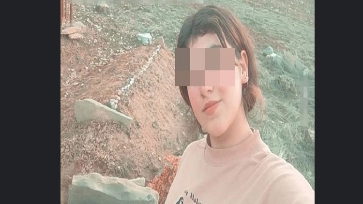 Li Amedê keça 12 salî hat revandin: '200 hezar lîre teklîf dikin'