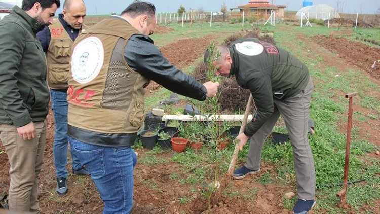 Li Amedê ji bo bîranîna Mela Mistefa Barzanî şitlên daran hatin çandin