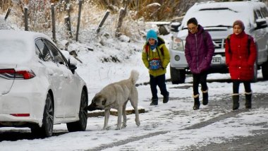 Li Qersê di Newrozê de jî barîna berfê berdewam kir