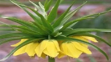  Hebûna evînê û zanîna hebûnê