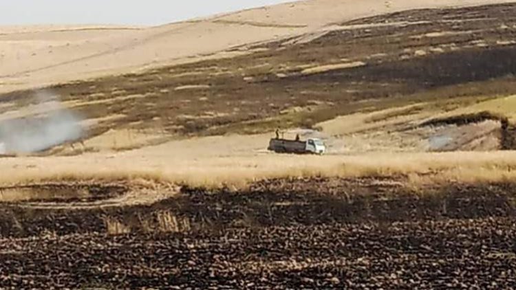 Kobanî: Zêdeyî 100 hektar zeviyên genim şewitîn