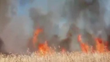 Li Dêrikê agir bi zeviyên çandiniyê ket