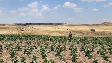 Li Bismilê di bin ewlehiya cendirmeyan de dirûn tê kirin