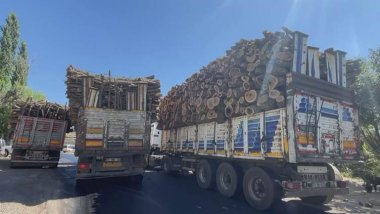 Li Bakurê Kurdistanê birrîna daran berdewam e