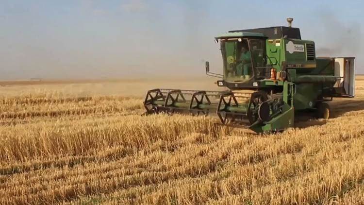 Navendên hikûmeta Sûriyê li Hesekê îro careke din genim werdigrin
