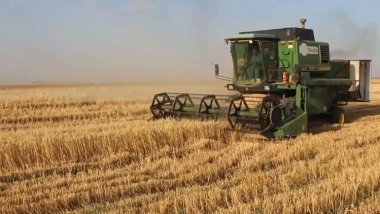 Navendên hikûmeta Sûriyê li Hesekê îro careke din genim werdigrin