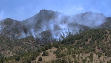 Li Amêdiyê ji ber bombebarana Tirkiyê agir bi daristan û zeviyan ket
