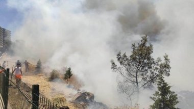 Li Rihayê agir bi daristanekê ket