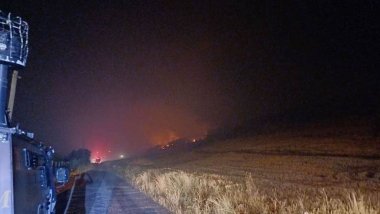 Li navçeya Lice ya Amedê agir bi daristanekê ket