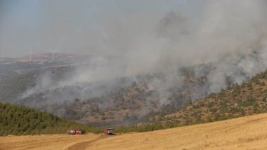 Li Dîlokê agir bi daristanê ket