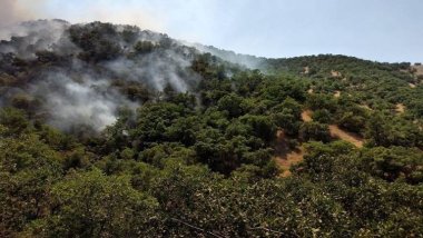 Li daristanên Merîwanê şewat derket