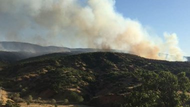 Çewlîg: Agirê ku bi daristanê ketibû hat vemirandin