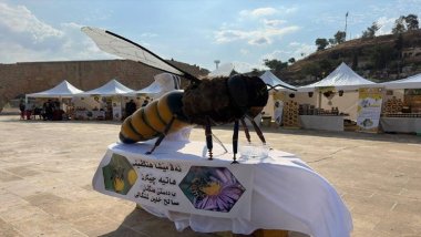 Festîvala yekê ya hinar û hingivînî li Zaxoyê dest pê kir