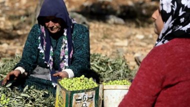 Efrin: Çekdaran li ser cotkarên gundê Kaxrê bac ferz kir
