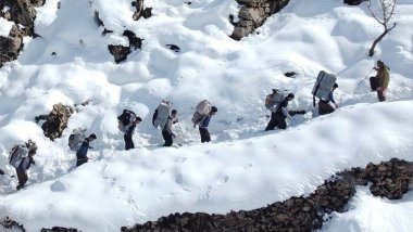Meha borî 50 kolber hatin kuştin û birîndarkirin