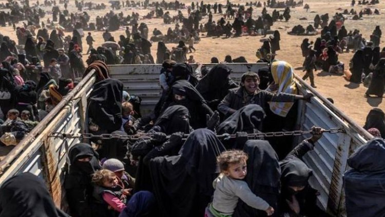Kampa Holê: 2 hezar malbatên Îraqî hatin vegerandin