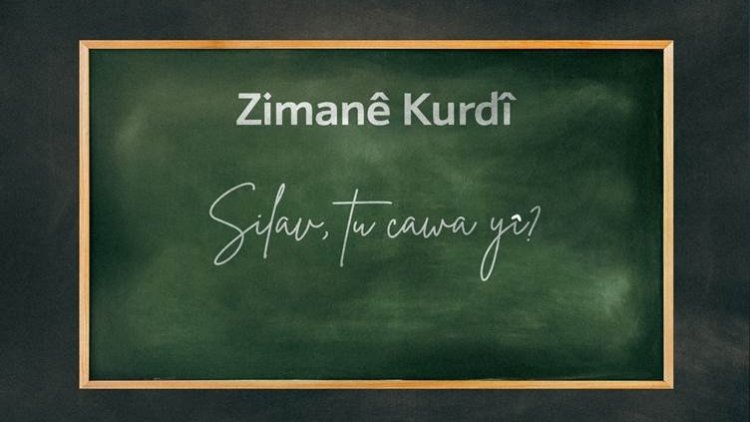 Ji bo Kurdên li derveyî welêt kursa onlina ya Kurdî vedibe