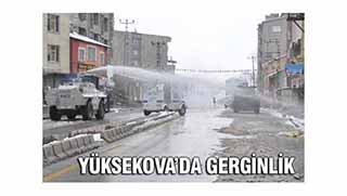 Yüksekova'da 2 kişi silahla öldürüldü