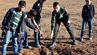 Şanlıurfa'da mayınlı araziye havan mermisi düştü