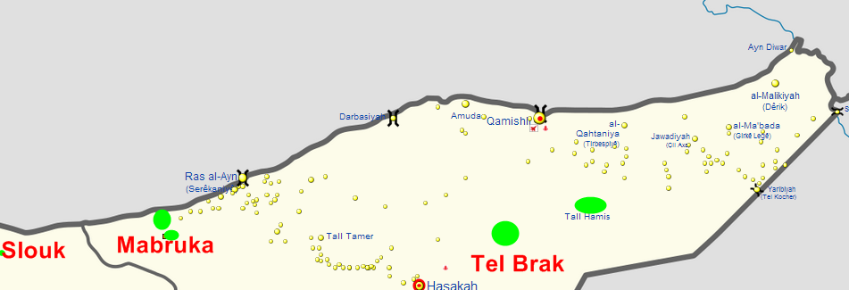 Cizre Kantonu özerk yönetimi ilan edildi
