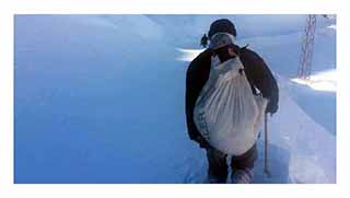 Bu fotoğrafın tek suçlusu kar mı?