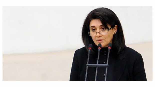 Zana hakkında açılan dava düştü