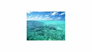 MİT muhalifleri okyanusa atma yetkisi istedi