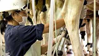 İsrail sermayesi Kürdistan’a yatırım yapmak istiyor