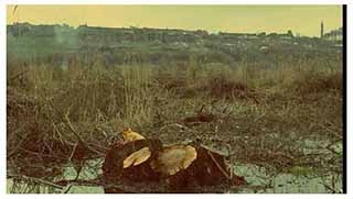 TOKİ’den Hevsel Bahçeleri için açıklama