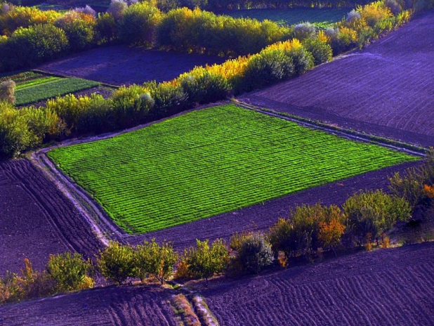 HAK-PAR; “8 Mart kutlu olsun!”
