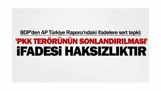 BDP: AP raporundaki ifadeler kaygı verici!