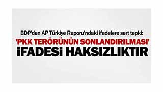 BDP: AP raporundaki ifadeler kaygı verici!