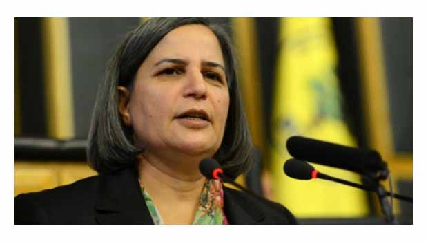 Kışanak: Özerk Bölge Yönetimlerimizi Kurmak İstiyoruz
