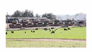 Sınırda 'taciz' ve gerilim artıyor