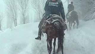 Sınırda hayatta kalma mücadelesinin adı "kaçakçılık"