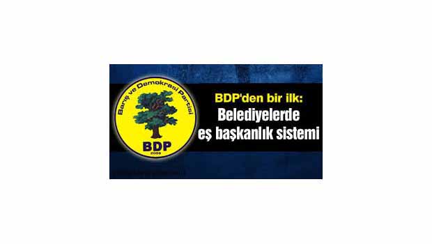 Eşbaşkanlık sistemi nasıl işleyecek?