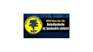 Eşbaşkanlık sistemi nasıl işleyecek?