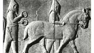 Kürt ansiklopedisi yolda