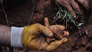 Dersim'de nereyi kazsan kemik fışkırıyor