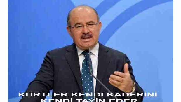 AKP'li Çelik: Kürtler Kendi Kaderlerini Tayin Edebilir