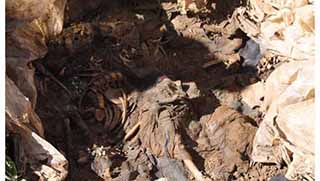  Kato Dağı'nda toplu mezar bulundu