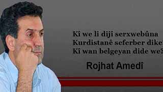 Kî we li dijî serxwebûna Kurdan seferber dike ?