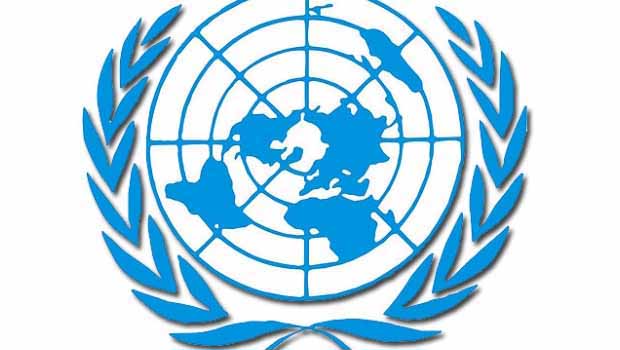 BM: IŞİD insanlık suçu işliyor