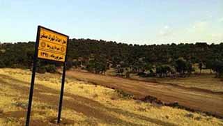  İran; Doğu Kürdistan’ın ormanlarını kesiyor