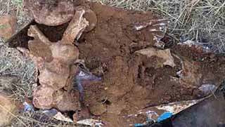 Hazro'da Gerilla cenazeleri tenekeler içinde gömülmüş!