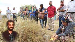 21 Yıllık Özlem Hazro Mezarlığı'nda Dindi