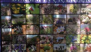 Devlet Dersim’i su altında bırakacak